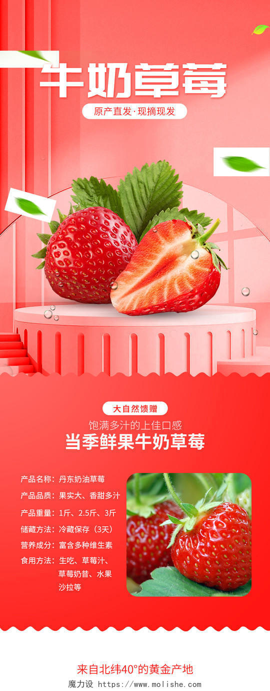 红色简约牛奶草莓生鲜水果详情页设计模板图片